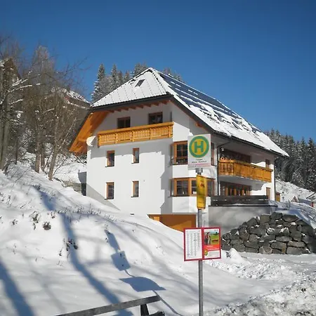 Ferienwohnungen Daheim Titisee Exterior photo
